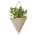 Trigg Wall Vessel