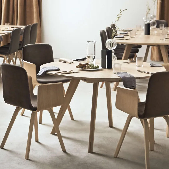 BOLIA Palm Dining Chairs